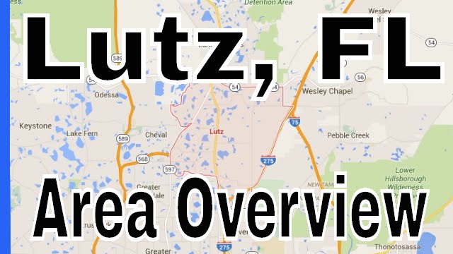 Overview of Lutz FL - Homes For Sale in Lutz FL - Lance Mohr - Tampa Realtor