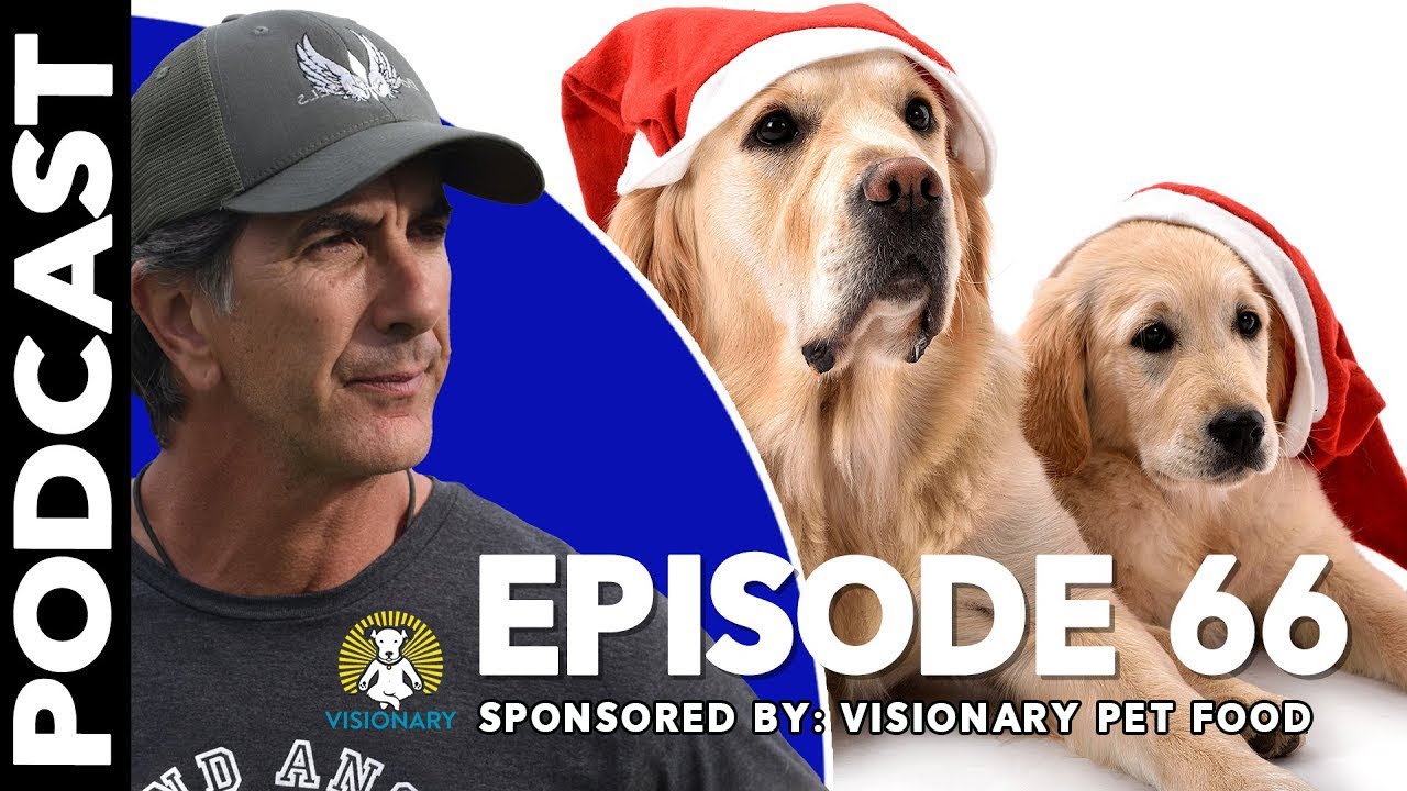 Christmas Spirit and Dogs - Episode 66