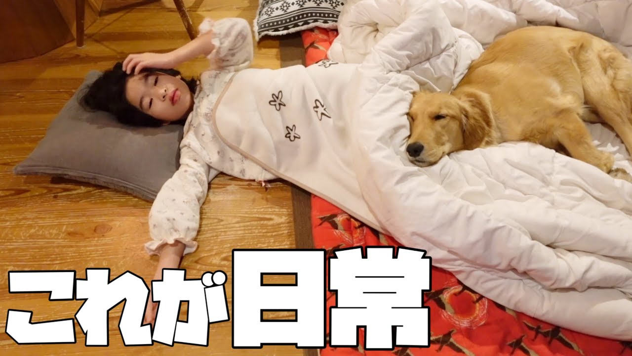 【大型犬仔犬のいる生活#9】なんてことない日常が幸せだったりする/生後10ヶ月