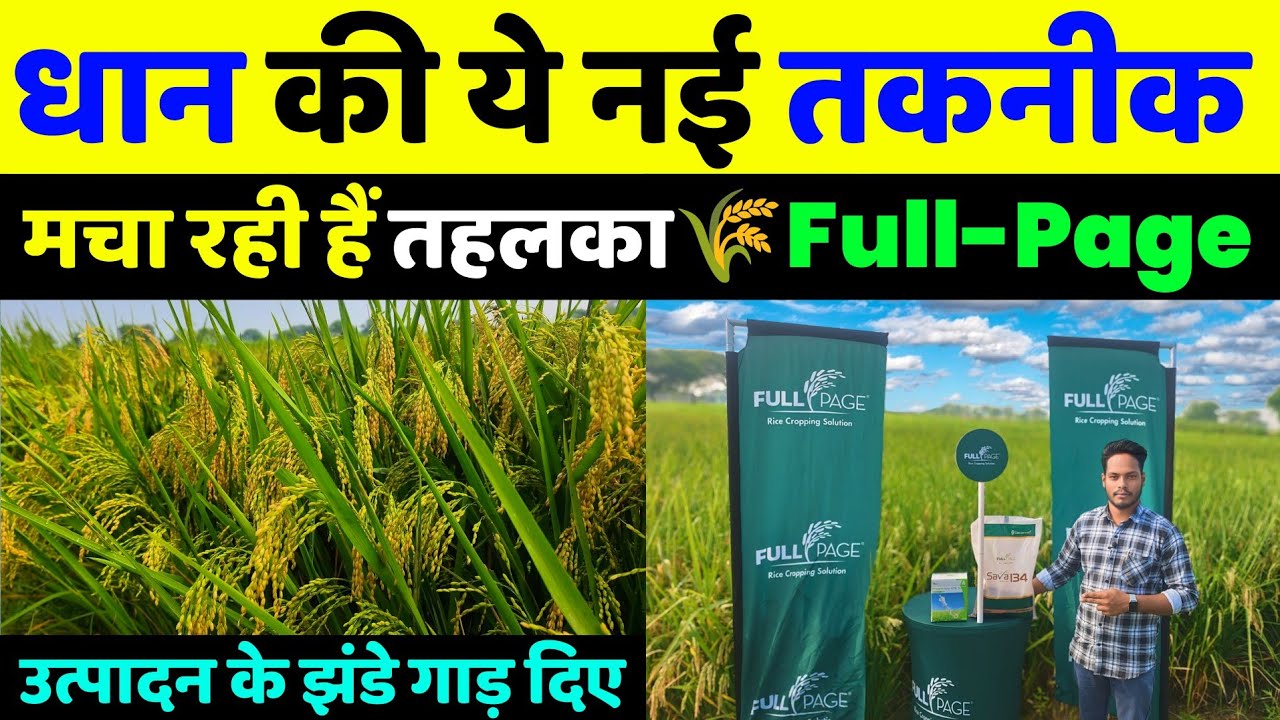 धान की इस नई तकनीक ने तहलका मचा रखा है🌾Dhan ki kheti | Savannah FULL Page | Paddy | smart Rice