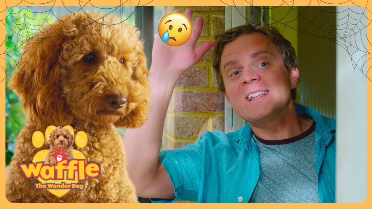Waffle Misses Doug! 🐶 🥺 | Wale The Wonder Dog | Full Episode Compilation for Kids | Cute & Fun