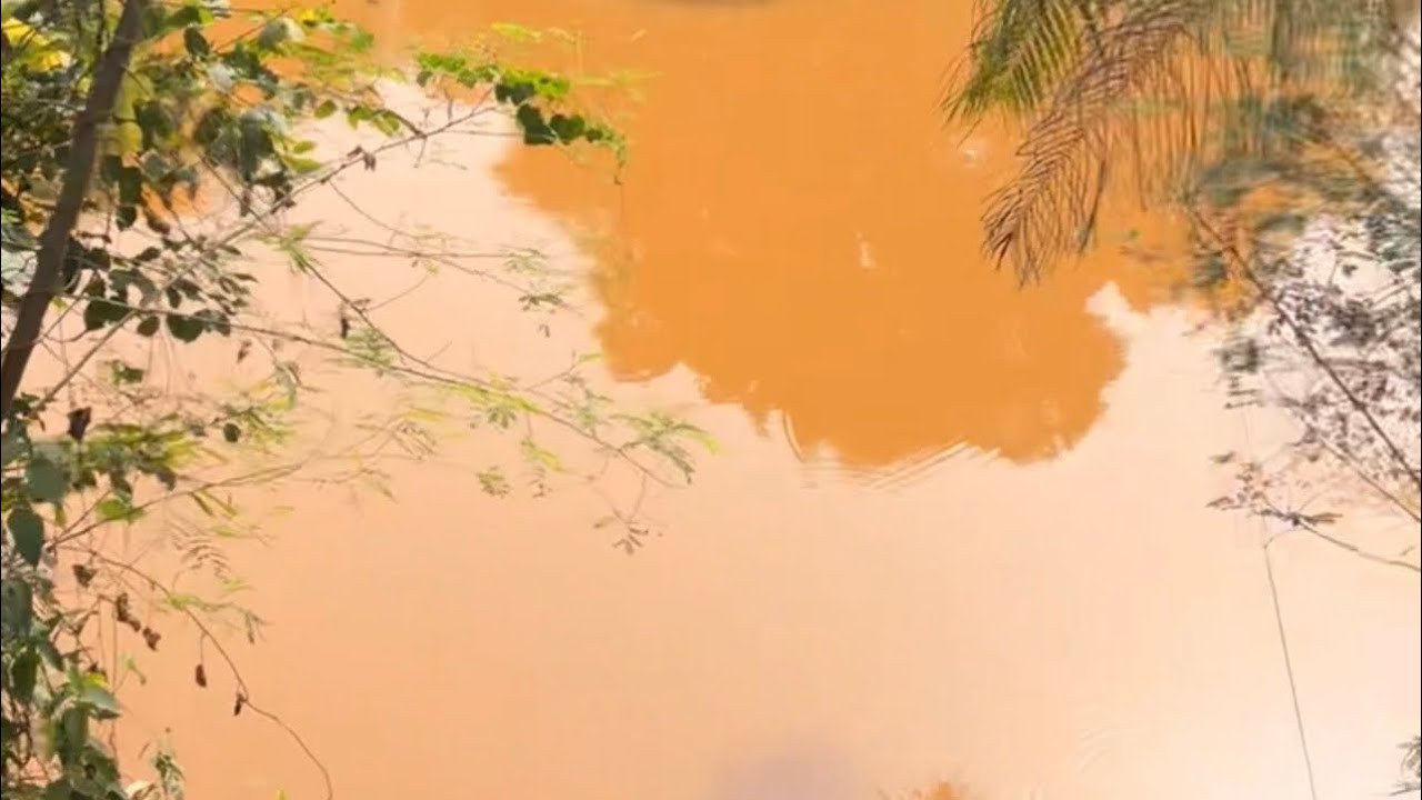 Day 5 | WALKING FROM KUMASI TO ACCRA | Nkawkaw to New Jejeti 