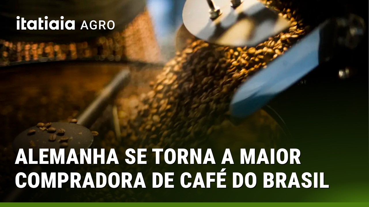 ALEMANHA SUPERA EUA E VIRA MAIOR COMPRADORA DE CAFÉ DO BRASIL