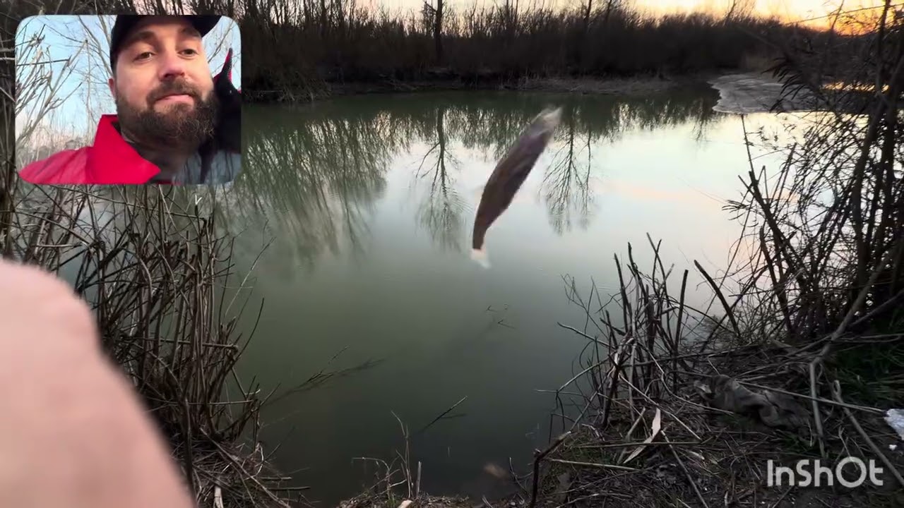 Pescuit pe Râul Argeș cu undița,am dat la viermuși.Pescuit la plută pe Argeș.Pescuit pe sălbatic.🎣