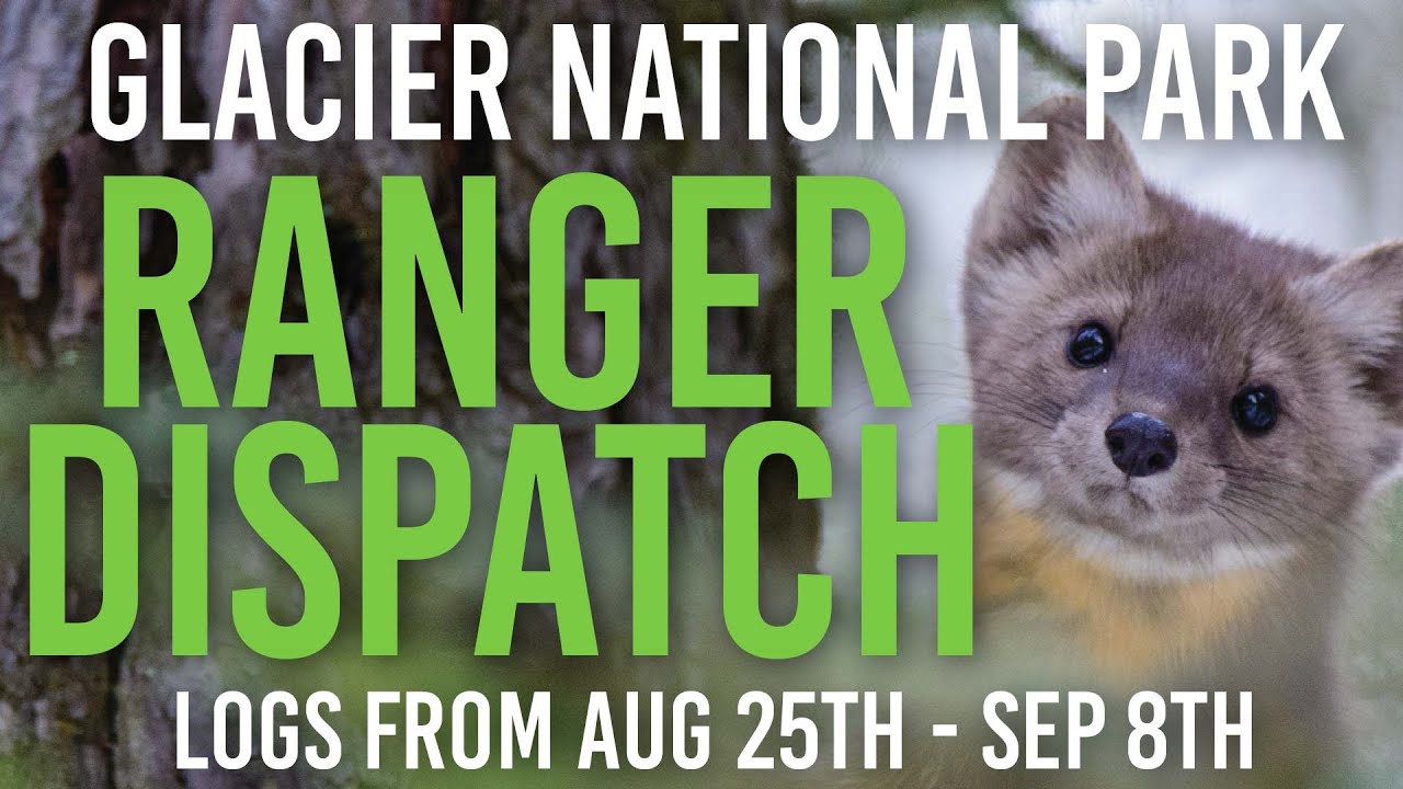 Wild Glacier National Park Incidents: Tragic Accident, Wildlife Rescues, Hoverboard Trouble & More