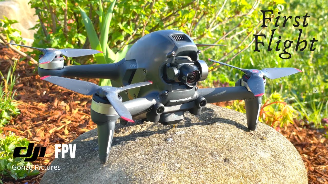 DJI FPV 