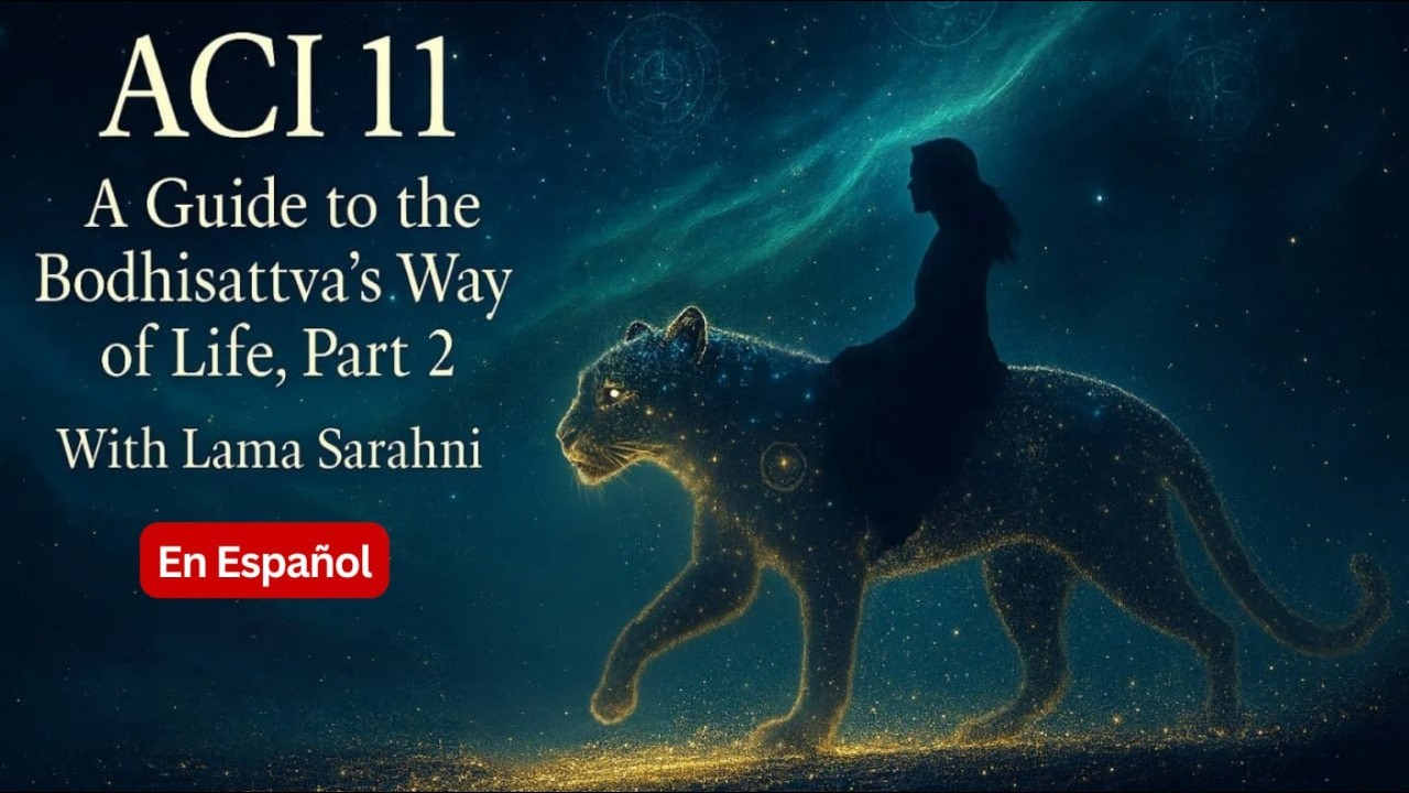 ACI 11 - Class 10 - SPA - 13 Feb 2026 - Mon/Fri morning group