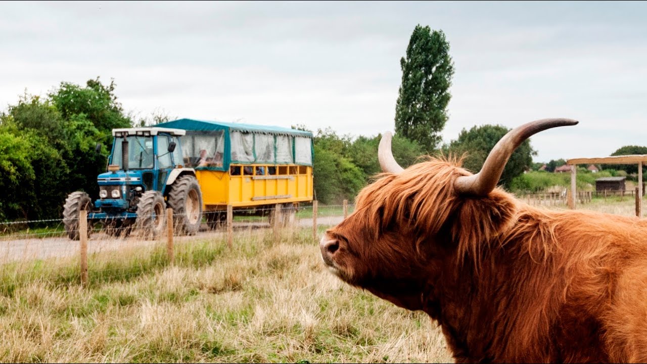 National Forest Adventure Farm - a Great Day Out!