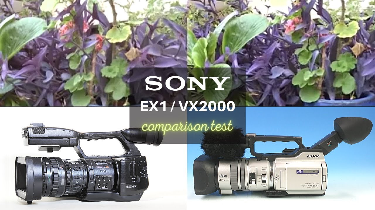 Sony PMW-EX1 / Sony VX2000 - comparison test