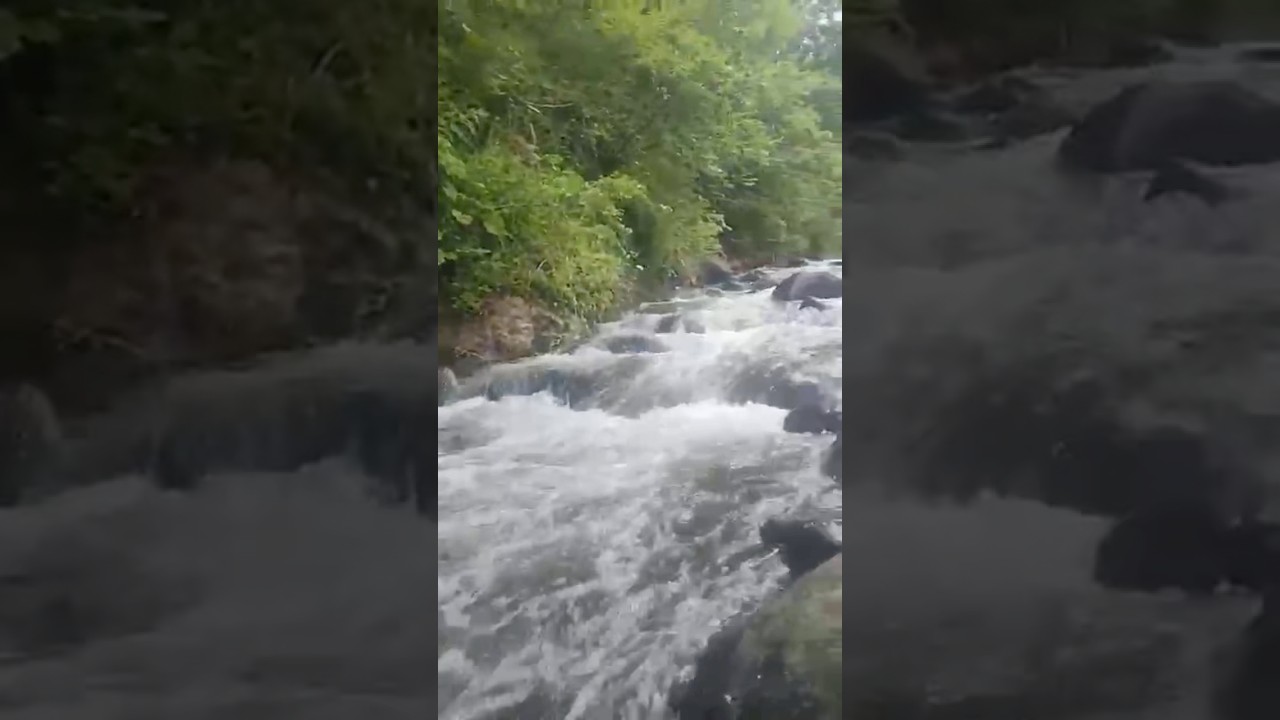 DERE SESİ DİNLE ~ akarsu,nehir,ırmak #wateensound #susesi #movingwater #relaxation #relaxingsounds
