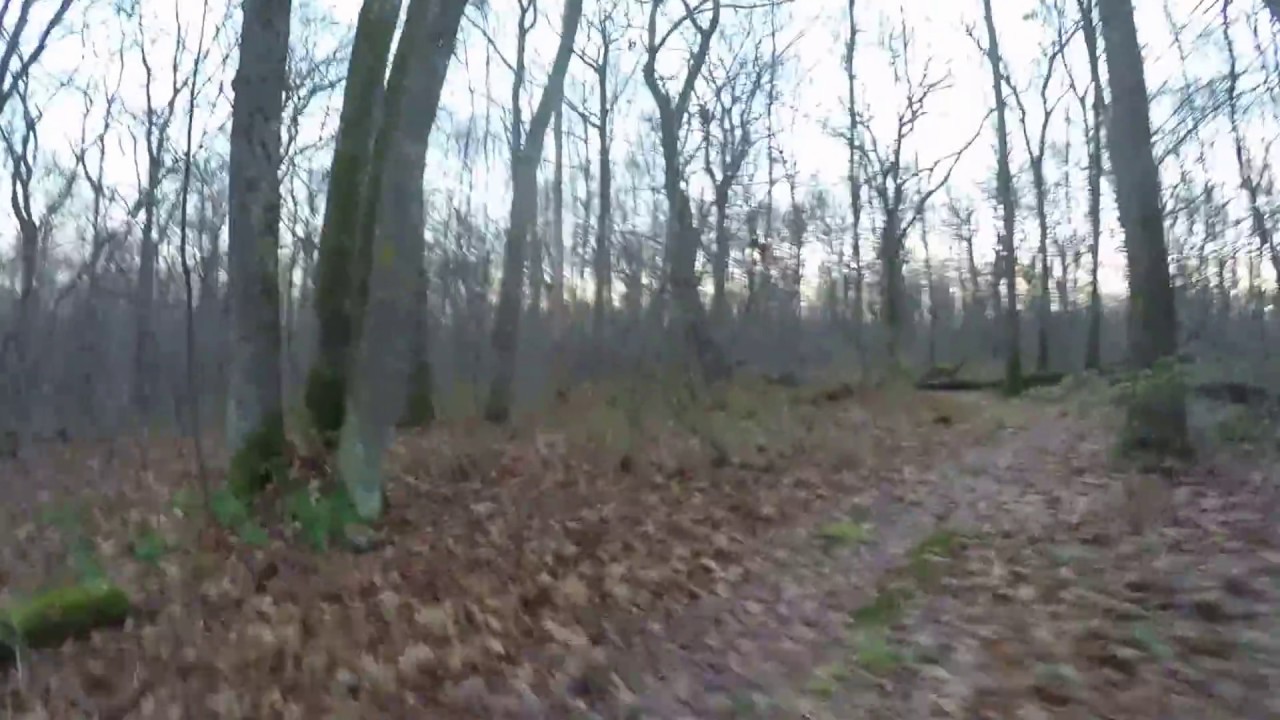 MP 58- 57 Southbound:  A Trail Runner's Guide to the Laurel Highlands Hiking Trail