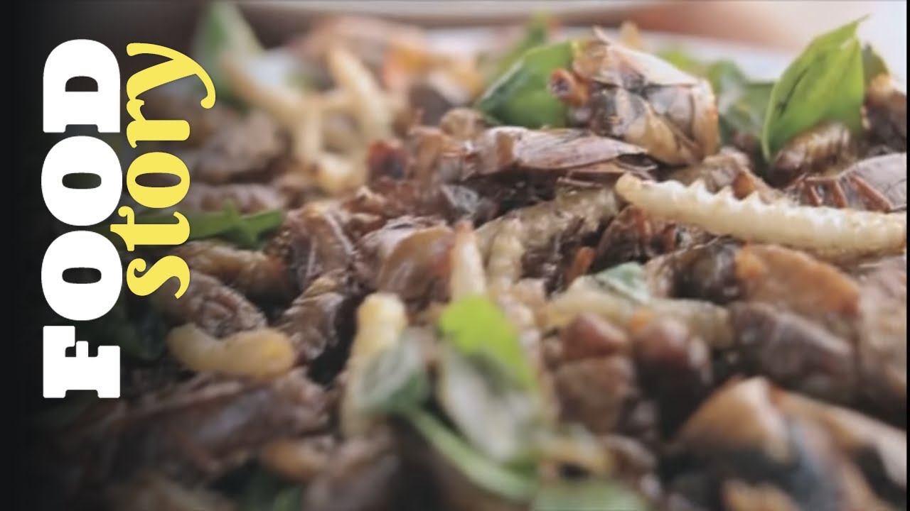 Au Laos, on adore manger des insectes !
