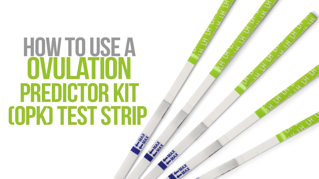 How to Use an Ovulation Predictor Kit (OPK) Test