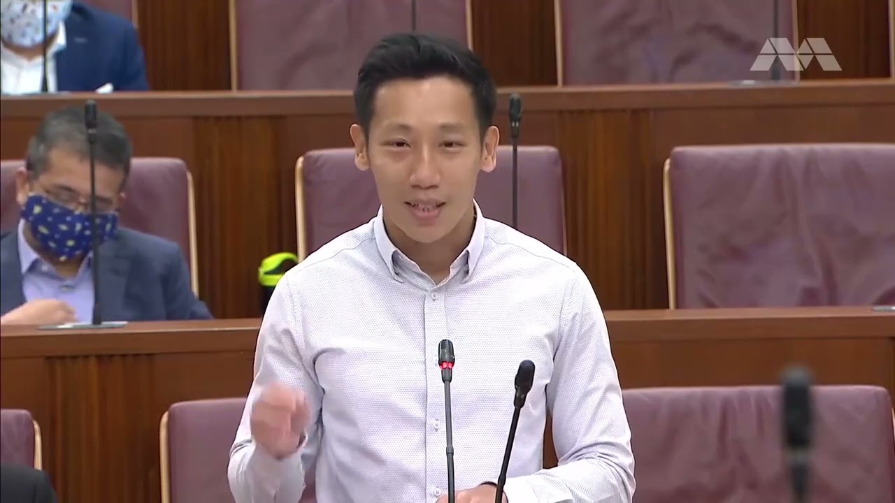 2021/03/08 COS 2021 debate, Day 7 Xie Yao Quan on support for artists and athletes