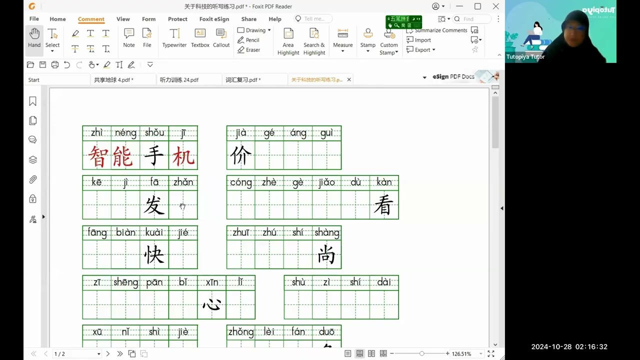 IB DP | Chinese HL - Tutor Zainab