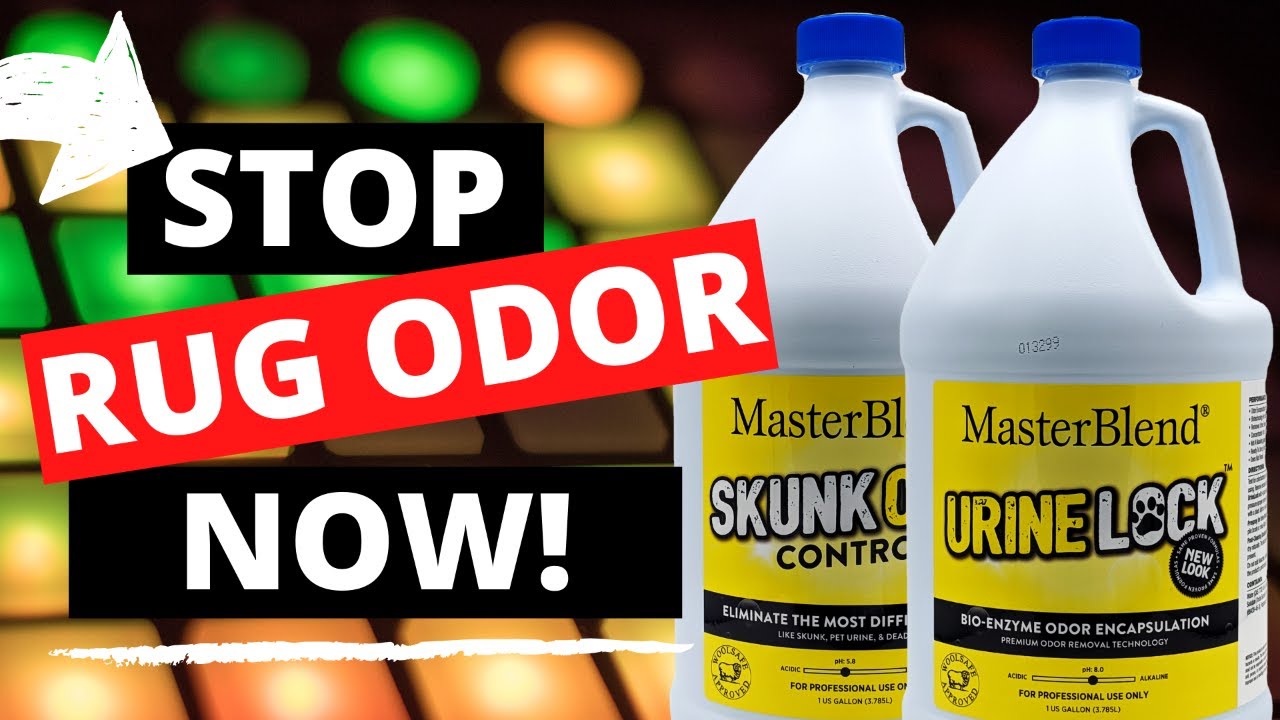 Best Rug Cleaning Pet Urine Removal