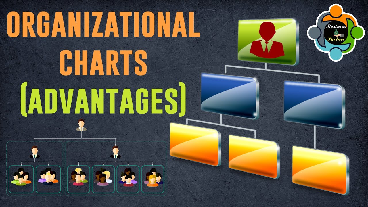 Organizational chart and its benefits