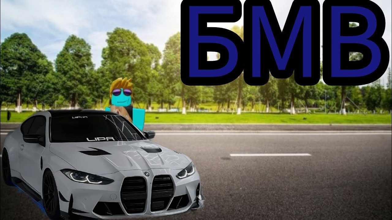 Синий енот 