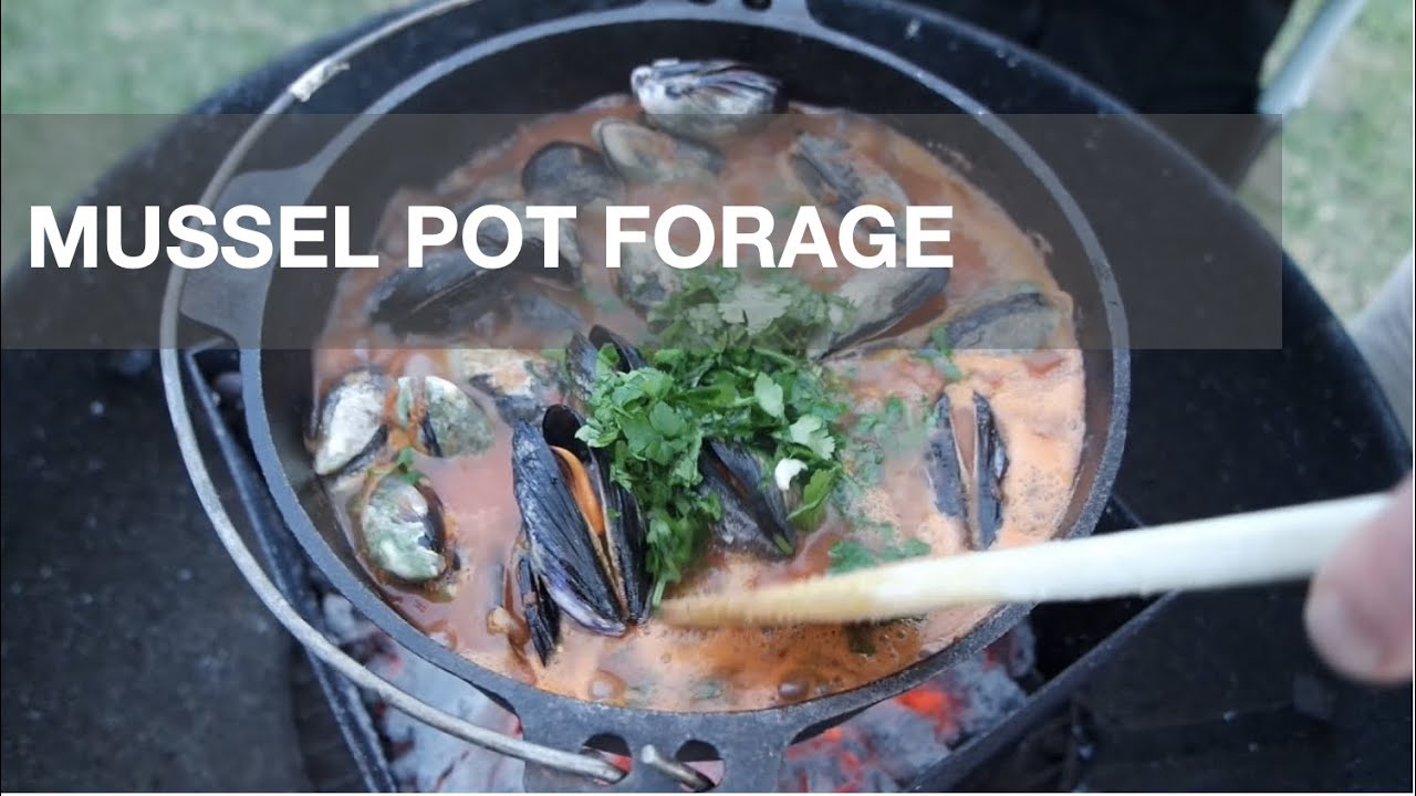 Mussel Pot Forage - Boiled Egg Safari Ep.005