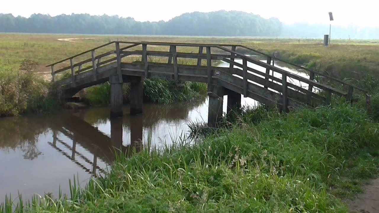 Wandeling rond  Wedde