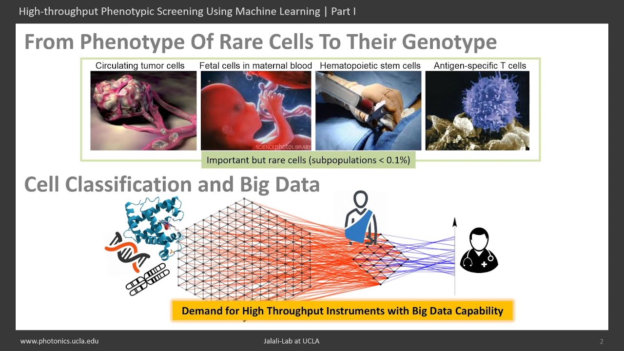 High-throughput Phenotypic Screening Using Machine Learning | Part I
