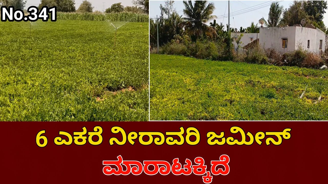 13 KM from Challakere Town | General Agriculture Land for Sale | Chitradurga District