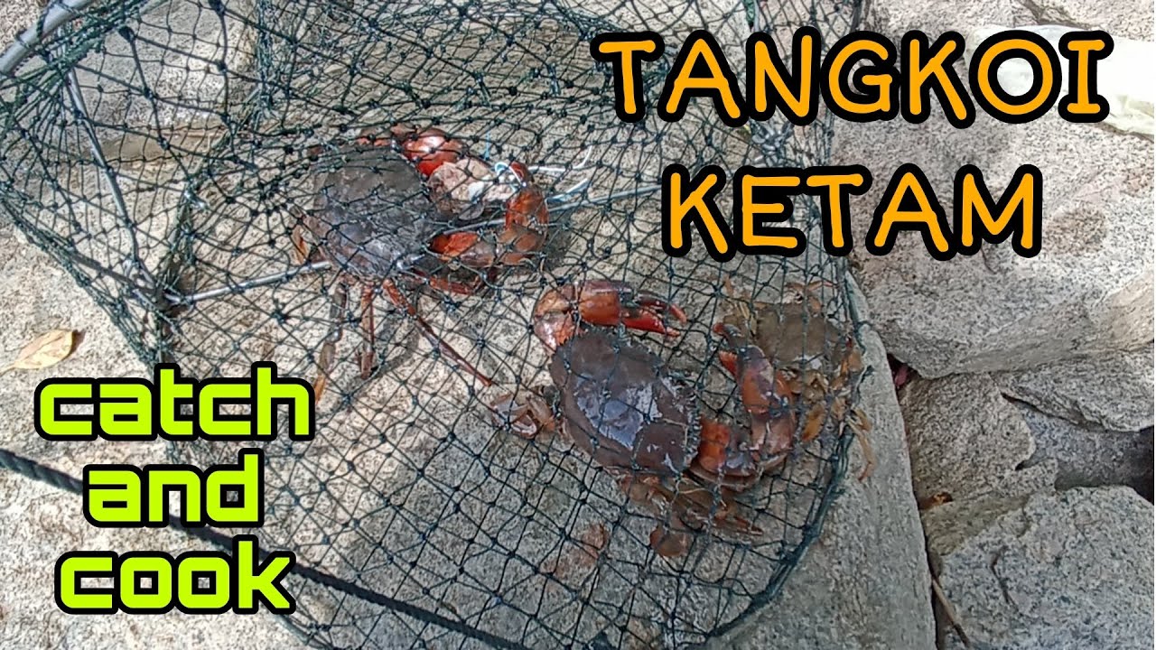#EP630 Tahan Tangkul/bento Ketam