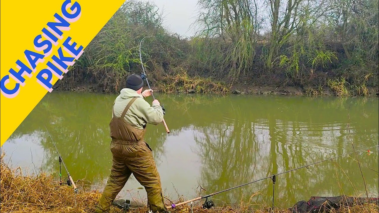 In pursuit of Pike : Pike fishing UK