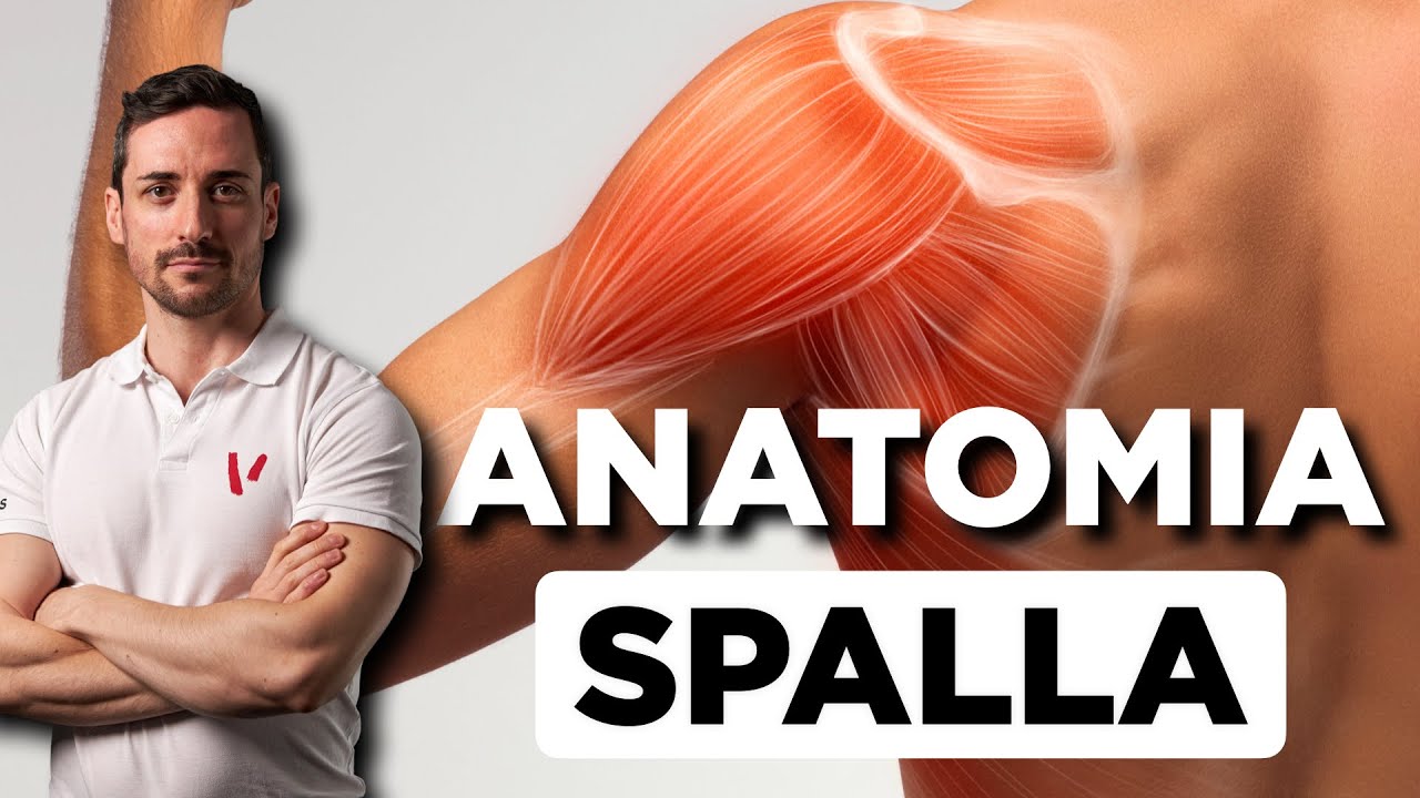 Anatomia della spalla