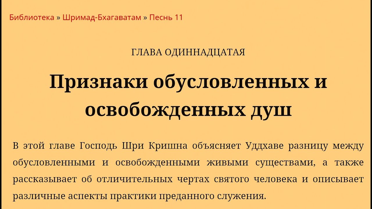 Сатья Нараяна д. (Сат-санга проп.) - Класс Шримад Бхагаватам 11.11.28