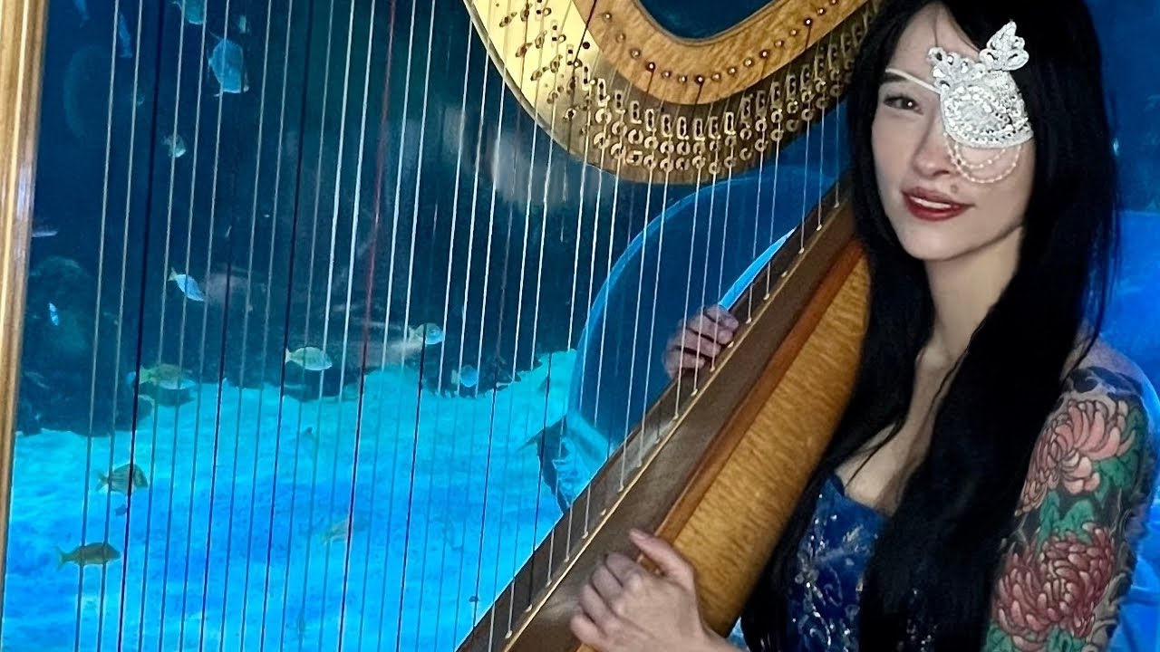 Kohola Sings (Humpback Whales) for Harp, at Sealife Adventure Southend, 5 Minutes for Earth