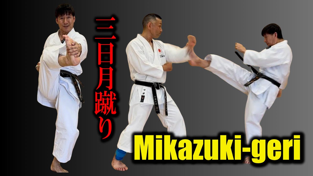[Naka Tatsuya's Budo Karate] How to use the 