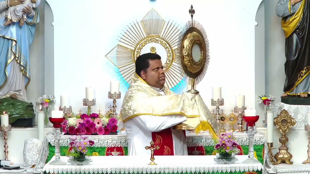 Daily Morning Blessing, Word of God & Prayer to Rosa Mystica
