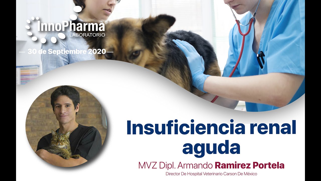 Webinar 30 Sep 