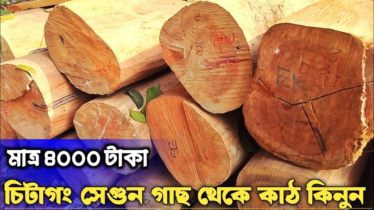 মাত্র ৪০০০ টাকায় চিটাগাং সেগুন কাঠ কিনুন | Chittagong Teak Wood Price in BD