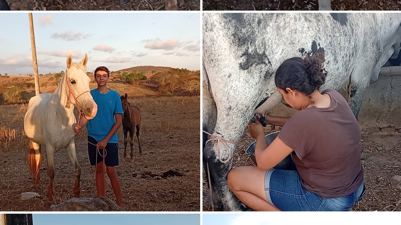 Olha o que nós fizemos hoje no sítio 😃
