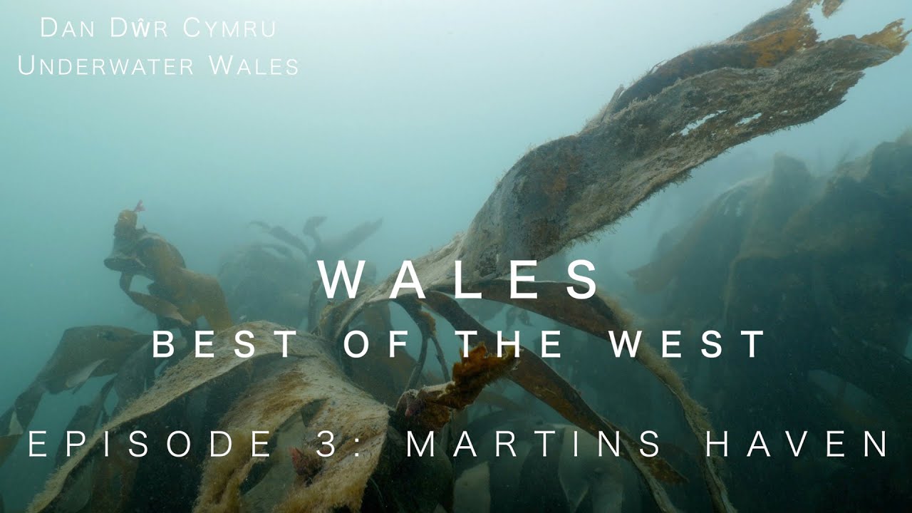 Wales Best of the West - Episode 3: Martin's Haven
