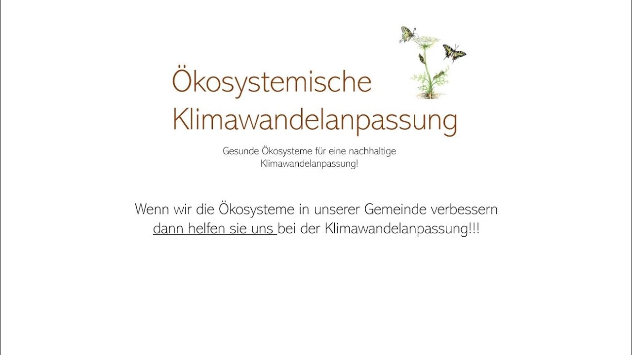 Ökosystemische Klimawandelanpassung