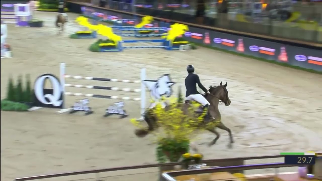 Frieda 135 CSI3*Zangersheide 1st place 