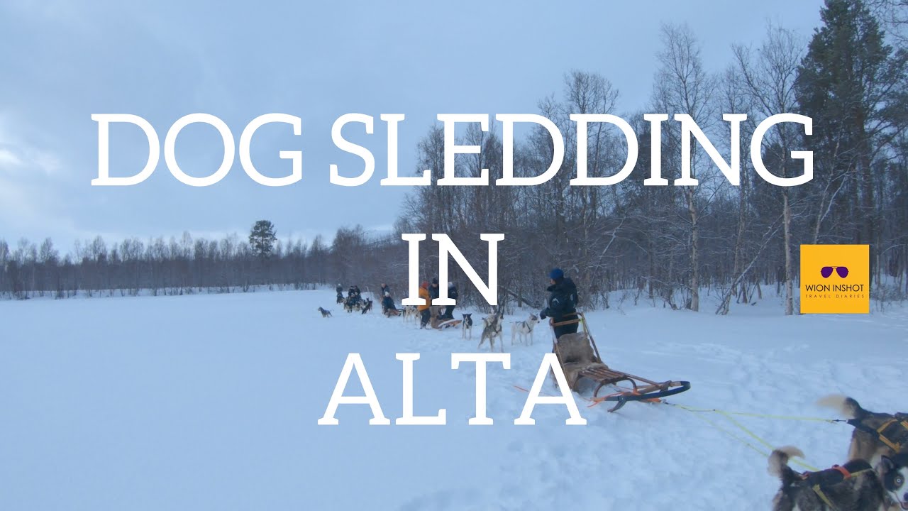 DOG SLEDDING  | ALTA | NORWAY | TRASTI & TRINE RESORT | EUROPE