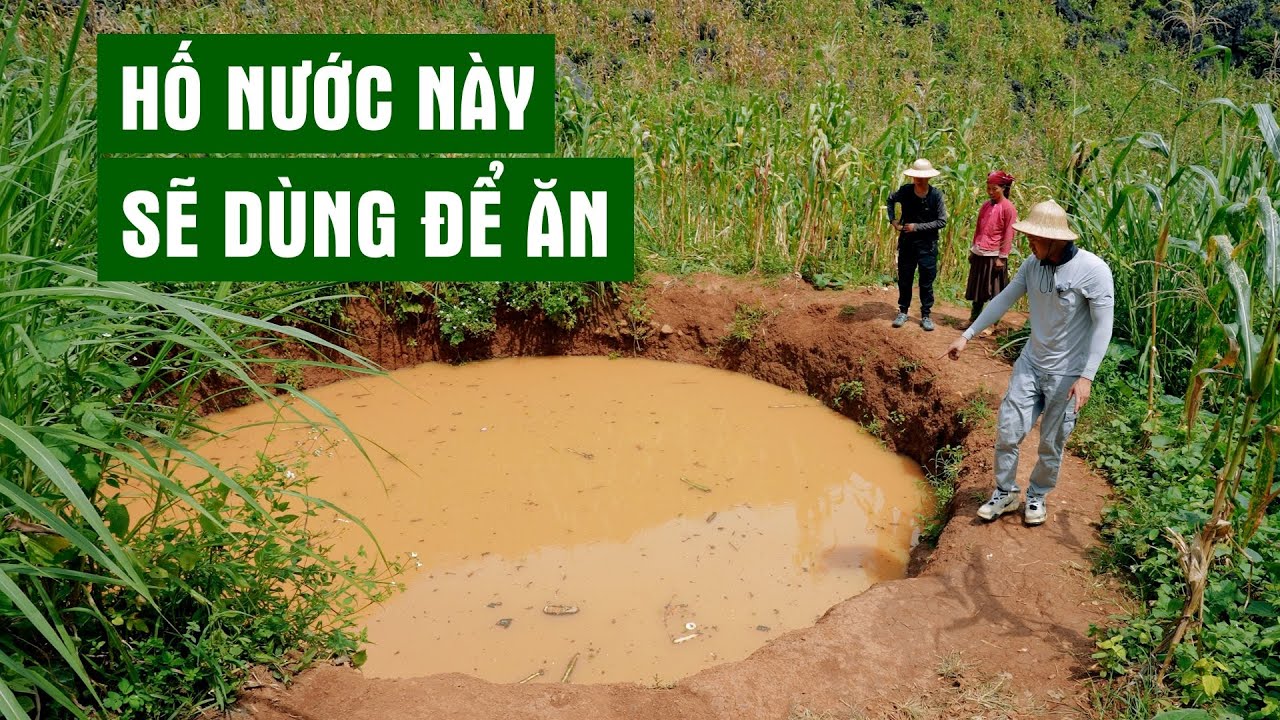 Phát Hoảng Trước Hố Nước Sẽ Dùng Để Ăn Của Một Gia Đình Người H'Mông | Người Đặc Biệt