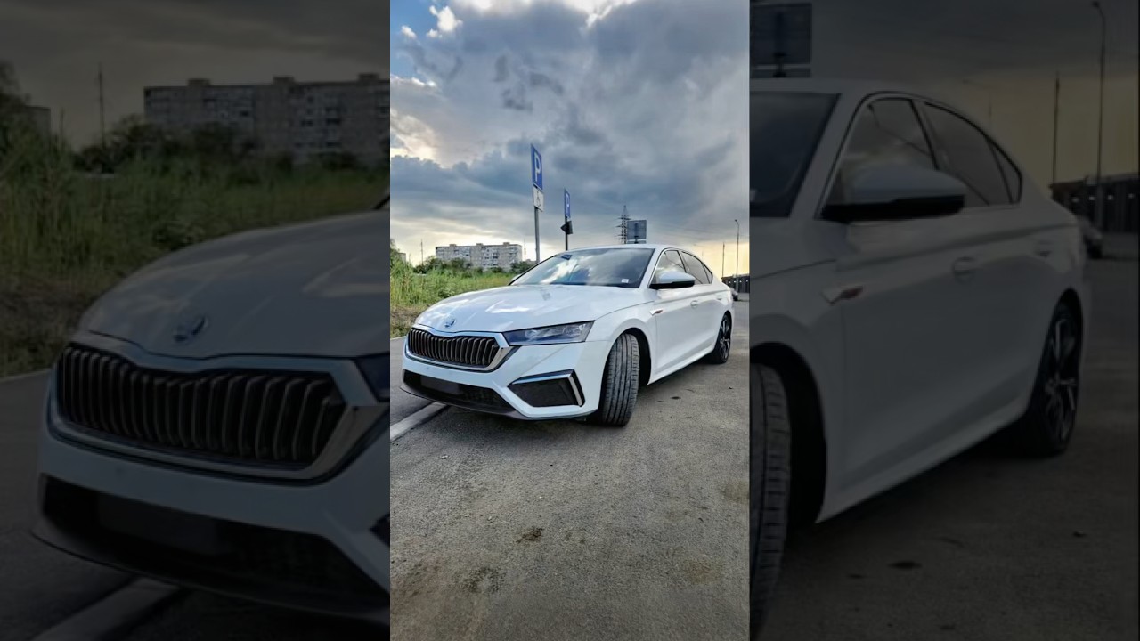 Octavia из Китая, что по минусам?