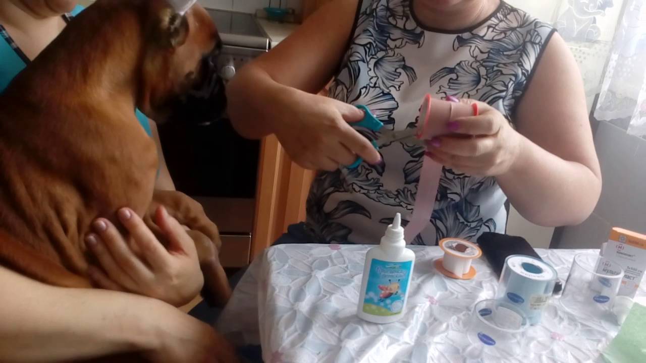 Ставим уши