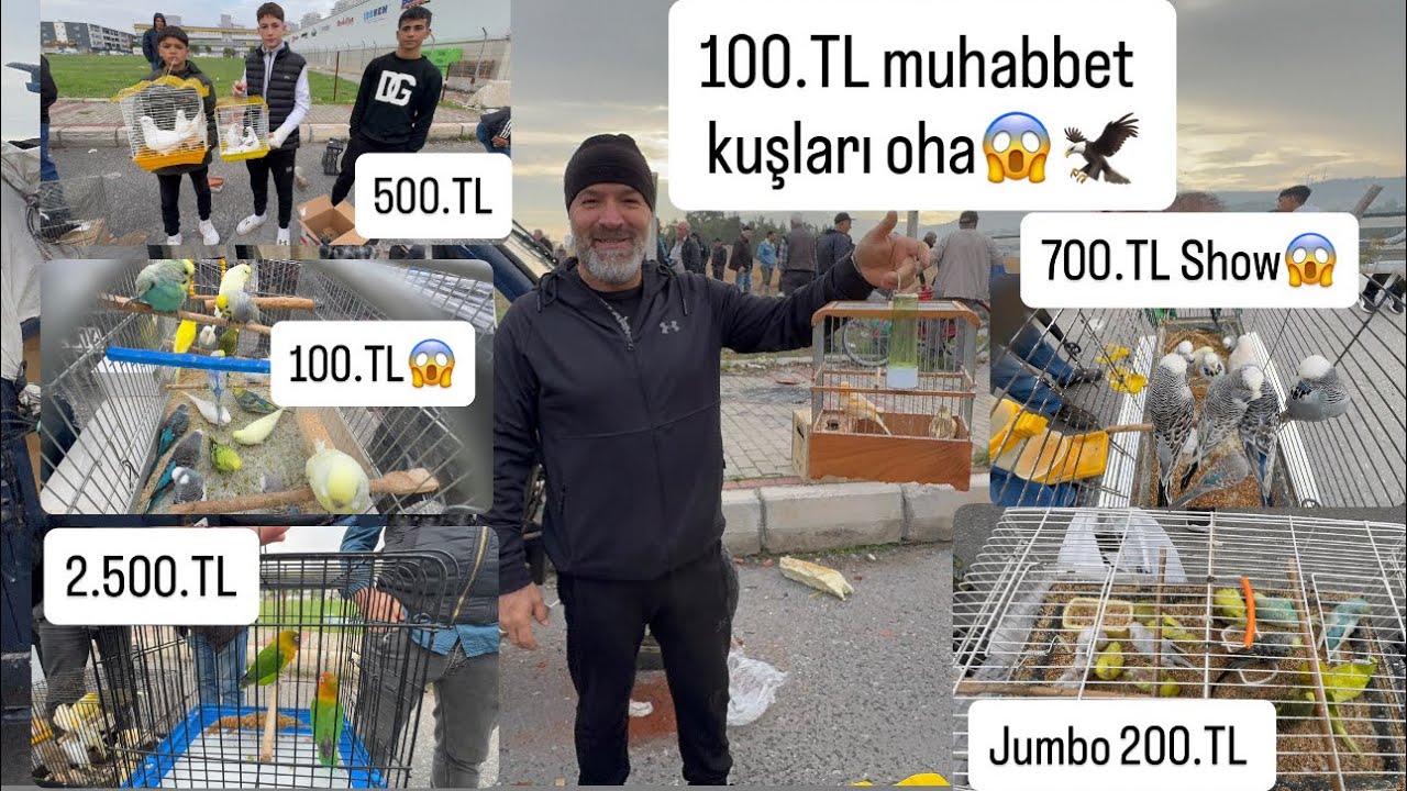 100.TL MUHABBET KUŞLARI ESNAF ŞAŞIRDI😱İZMİR KUŞ PAZARI FİYATLAR UÇTU😱 🦅 