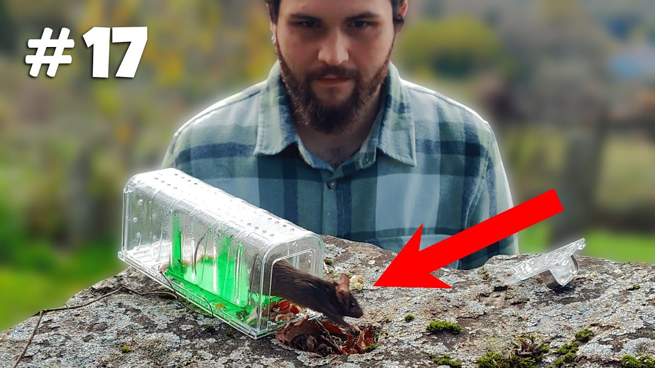 I Released 20+ Mice Into The Wild And Here's What Happened!
