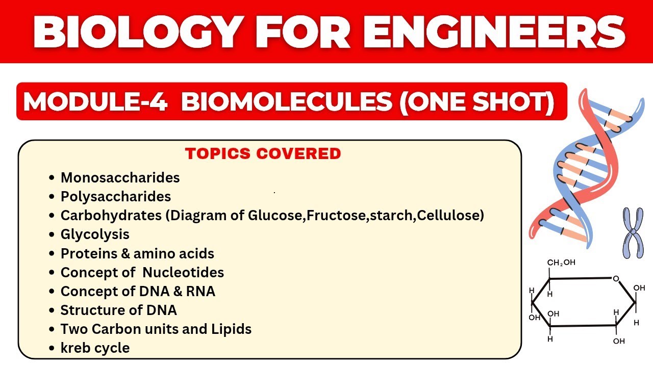 Biomolecules engineering biology || Engineering biology in one shot(part-4) || Kreb Cycle || DNA