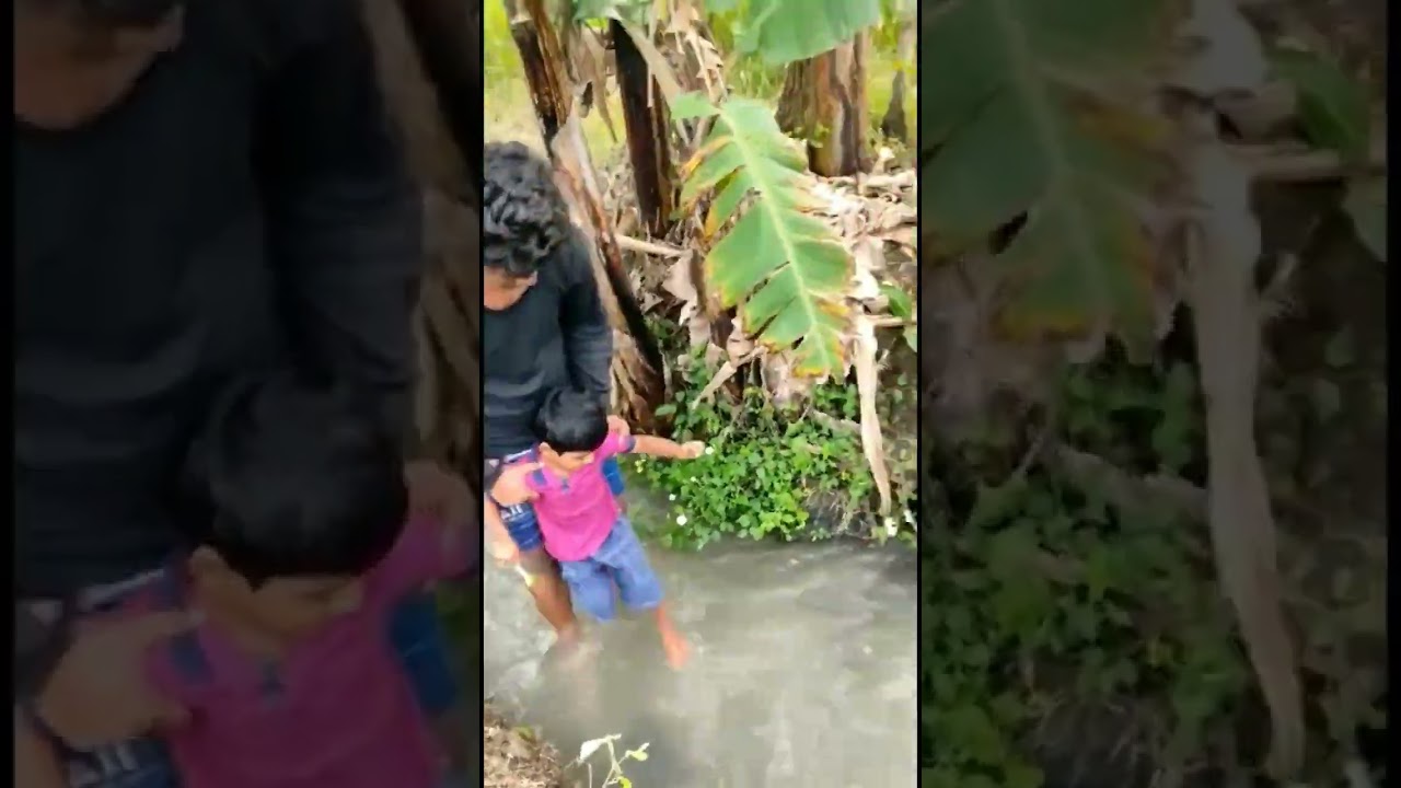 #ytshorts