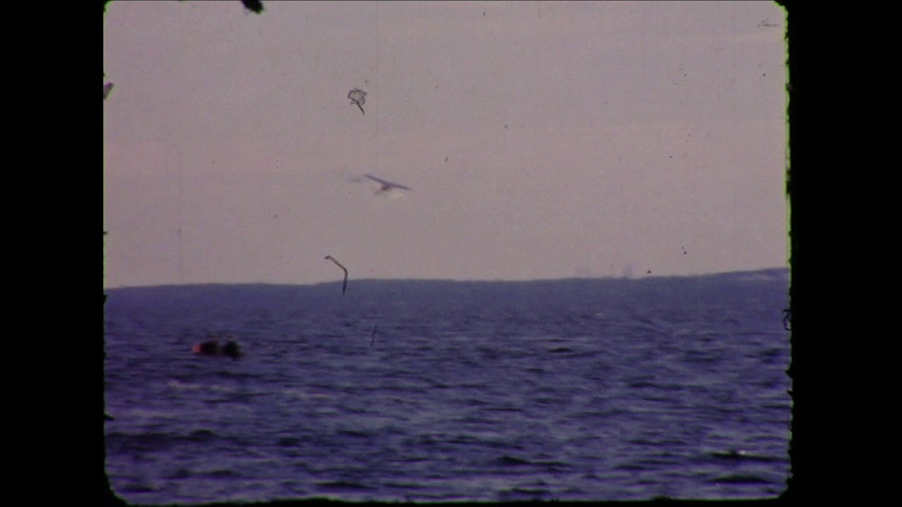 Sj&oslash;fly p&aring; Fuglevik, Rygge
