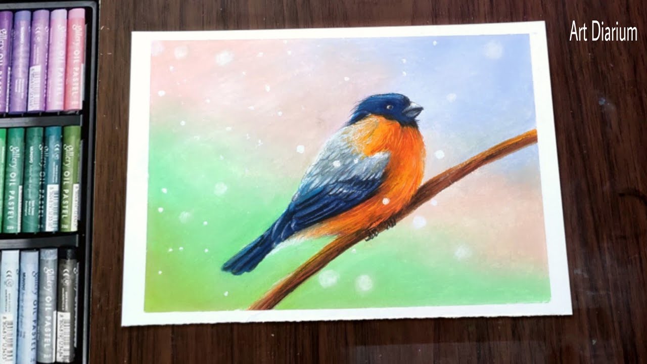Drawing a cute orange bird with Oil Pastel - Step by Step