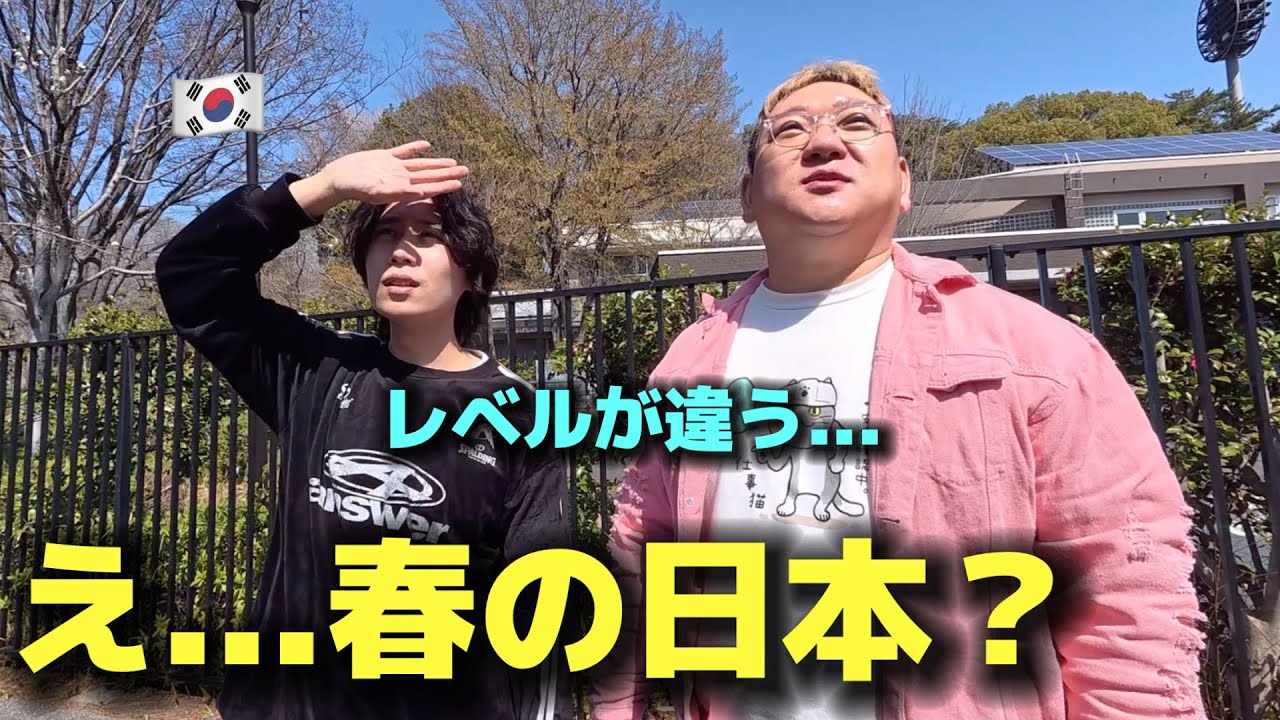 え&hellip;これが春の日本？初めての公園で韓国人が感動した理由